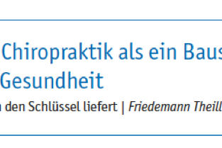 Fachartikel Chiropraktik - Warum das Nervensystem den Schlüssel liefert