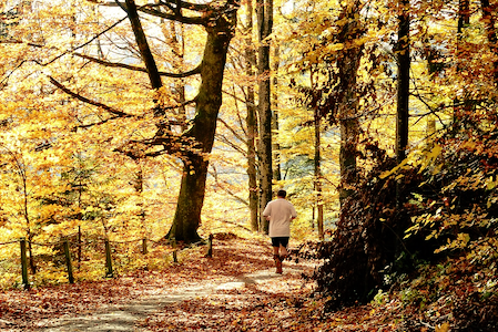Ein Mann joggt in einem herbstlichen Wald.