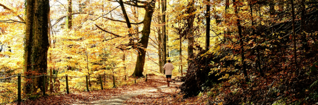 Ein Mann joggt in einem herbstlichen Wald.
