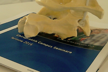 Chiropraktik Campus Seminare – Dozent Fridemann Theill aus Köln