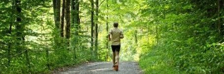 Amerikanische Chiropraktik in Köln mit Sport den Kreislauf unterstützen Ein sportlicher Mann läuft in einem grünen Wald.