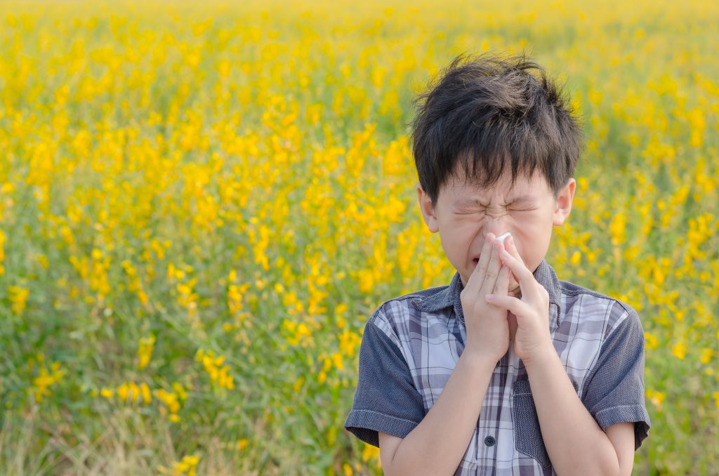 Ein kleiner asiatischer Junge hat eine Allergie gegen Blütenpollen. Der Junge hat eine laufende Nase im Blumenfeld und wischt sich die Nase mit einem Papiertaschentuch ab.